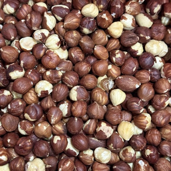 Hazelnuts roasted